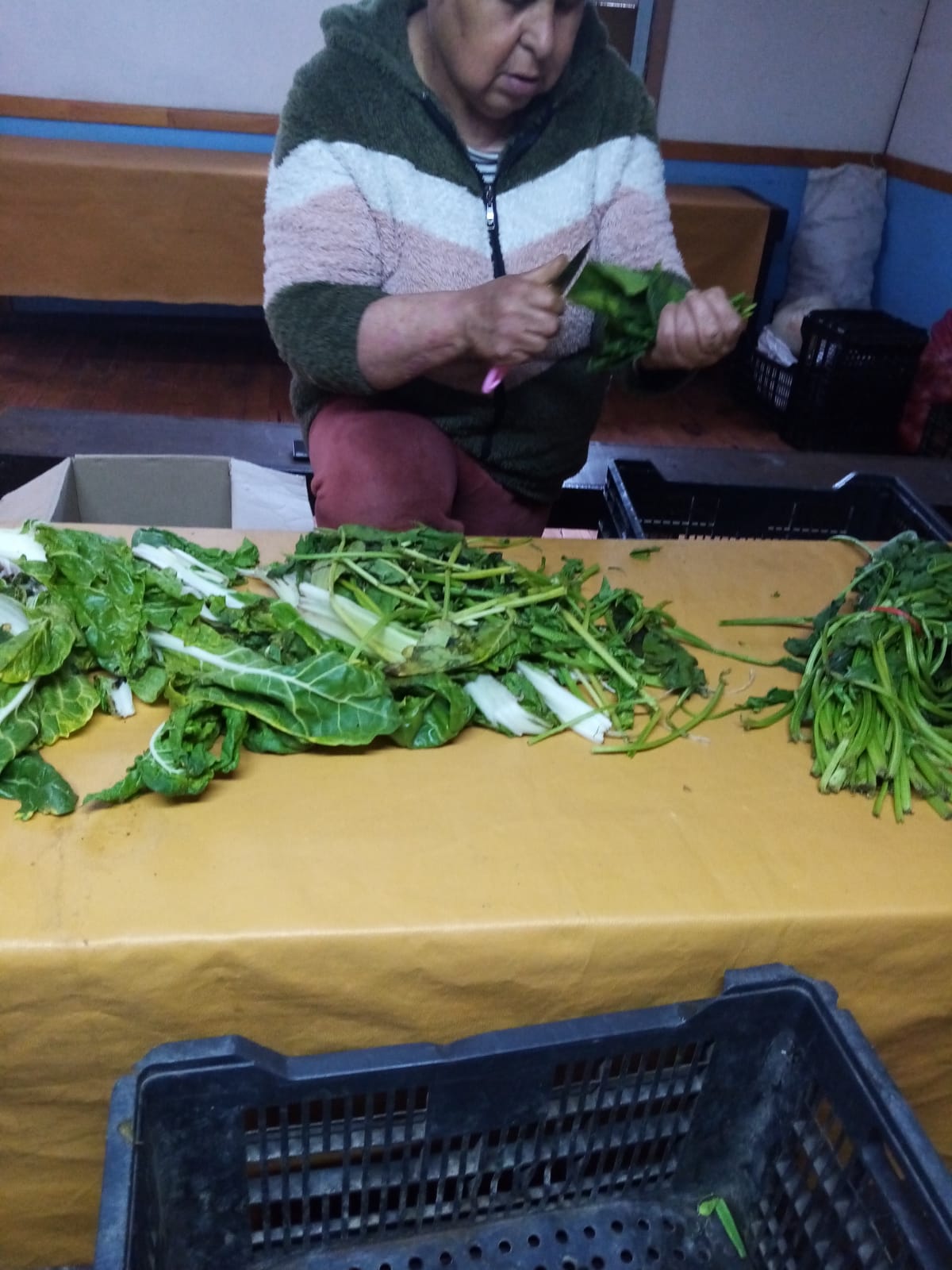 Comedor